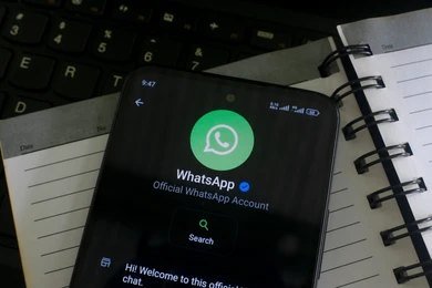 Official WhatsApp Marketing Dashboard: How WhatsApp Business API Helps Businesses Automate Customer Communication